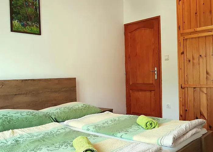 Szatmari Vendeghaz Pensjonat 3*